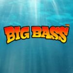 Big Bass Cover